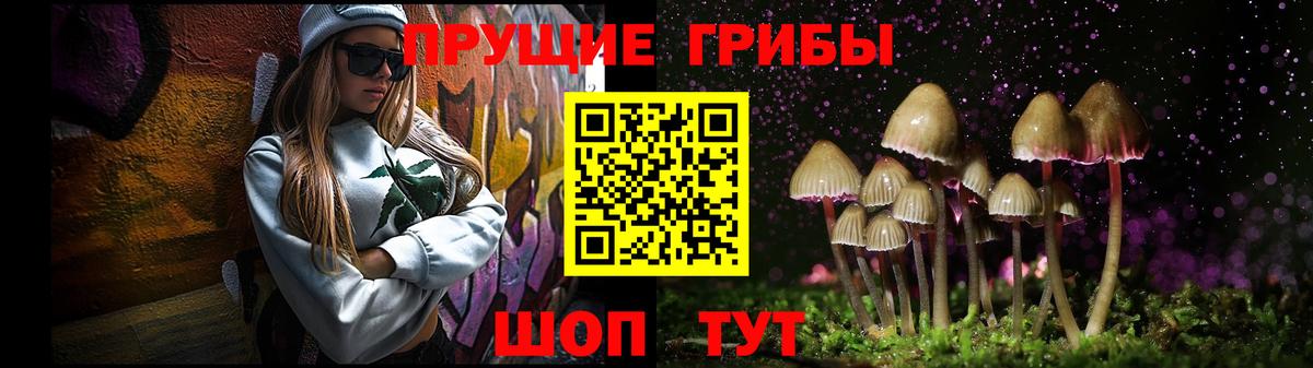 Галлюциногенные грибы MAGIC MUSHROOMS  Вход с VPN  Галлюциногенные грибы мухоморы  Фрязино 